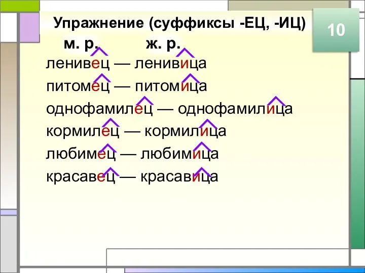 м. р. ж. р. Упражнение (суффиксы -ЕЦ, -ИЦ) ленивец — ленивица