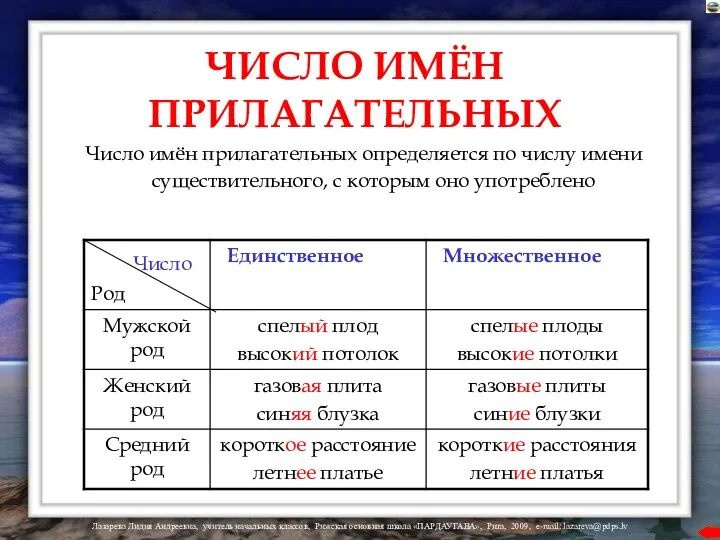 ЧИСЛО ИМЁН ПРИЛАГАТЕЛЬНЫХ Число имён прилагательных определяется по числу имени существительного, с которым оно употреблено