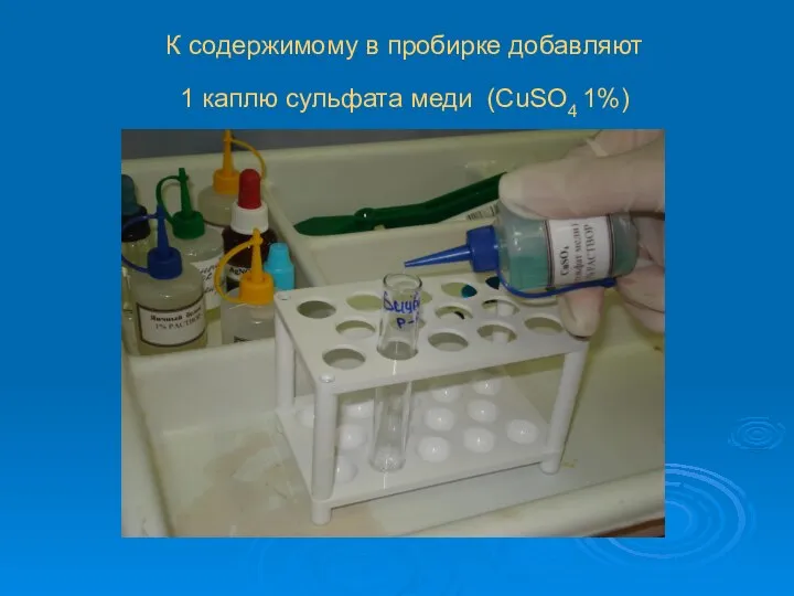 К содержимому в пробирке добавляют 1 каплю сульфата меди (CuSO4 1%)