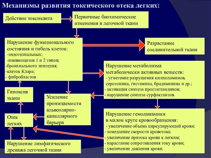 Механизмы развития токсического отека легких: Действие токсиканта Первичные биохимические изменения в