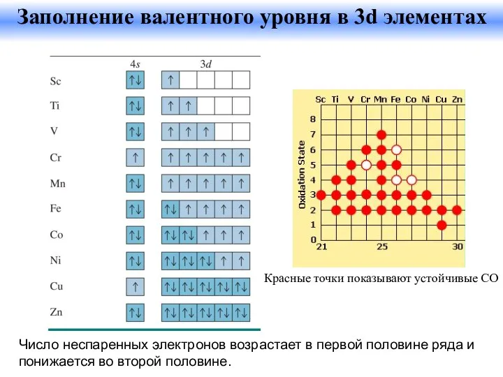 Число неспаренных электронов возрастает в первой половине ряда и понижается во