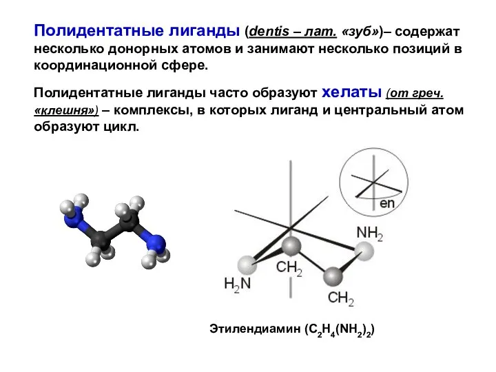 Полидентатные лиганды (dentis – лат. «зуб»)– содержат несколько донорных атомов и