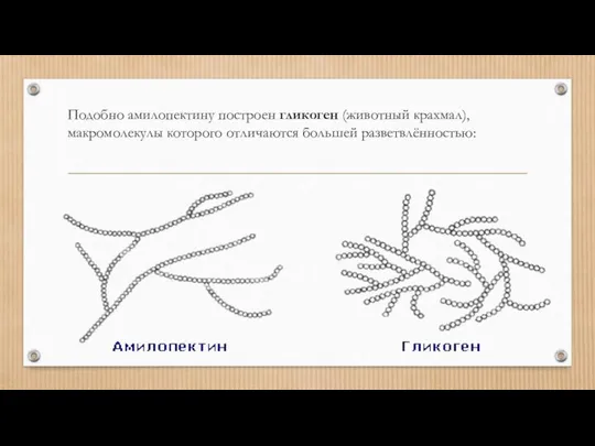 Подобно амилопектину построен гликоген (животный крахмал), макромолекулы которого отличаются большей разветвлённостью: