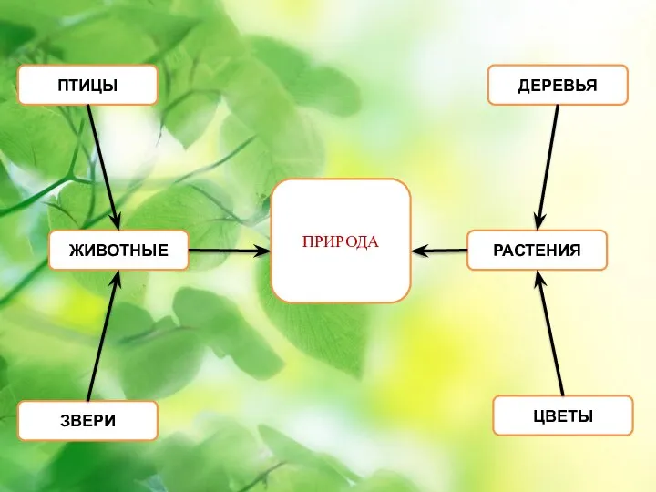 ЗВЕРИ ЦВЕТЫ ПТИЦЫ ДЕРЕВЬЯ ЖИВОТНЫЕ РАСТЕНИЯ ПРИРОДА
