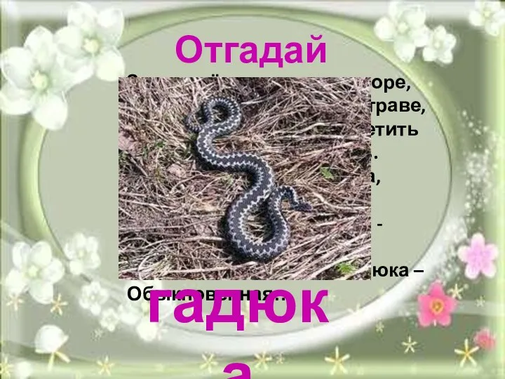 Отгадай загадку. Знать твёрдо нужно детворе, Что где-нибудь в лесу, в