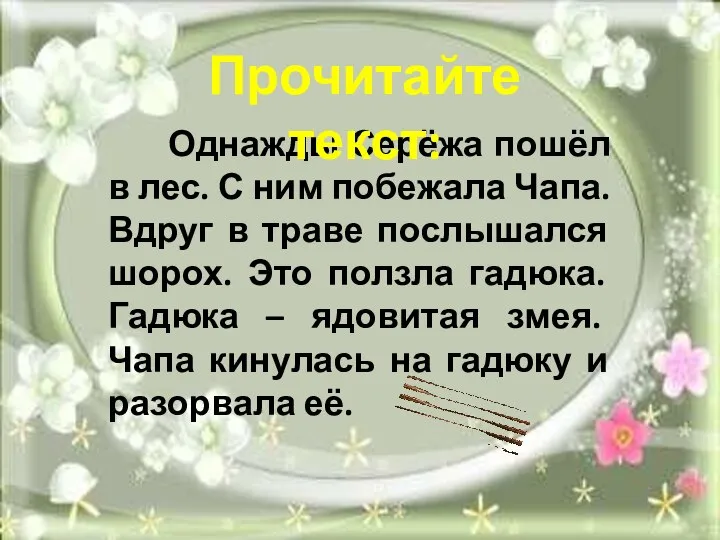 Однажды Серёжа пошёл в лес. С ним побежала Чапа. Вдруг в