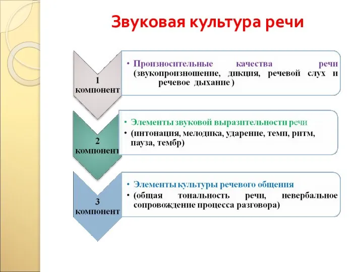 Звуковая культура речи