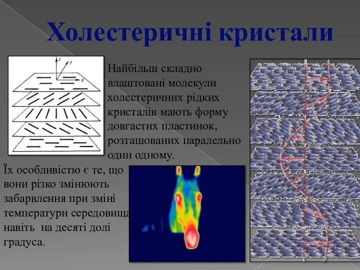 Найбільш складно влаштовані молекули холестеричних рідких кристалів мають форму довгастих пластинок,