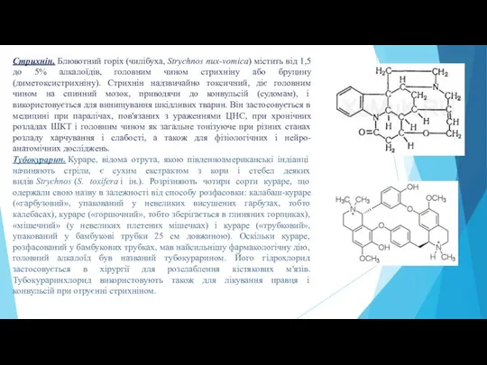 Стрихнін. Блювотний горіх (чилібуха, Strychnos nux-vomica) містить від 1,5 до 5%