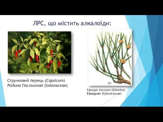 ЛРС, що містить алкалоїди: Стручковий перець (Capsicum) Родина Пасльонові (Solanaceae) Ефедра хвощова (Ephedra) Ефедрові (Ephedraceae)