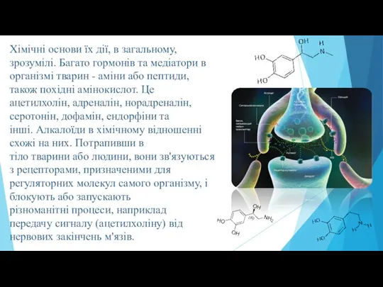 Хімічні основи їх дії, в загальному, зрозумілі. Багато гормонів та медіатори