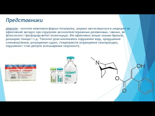 Представники Атропін – оптично неактивна форма гіосціаміну, широко застосовується в медицині