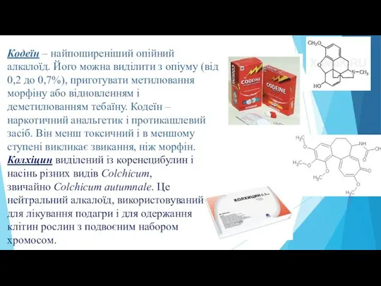 Кодеїн – найпоширеніший опійний алкалоїд. Його можна виділити з опіуму (від