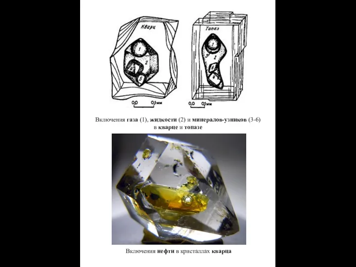 Включения газа (1), жидкости (2) и минералов-узников (3-6) в кварце и