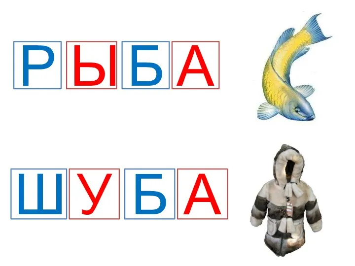 Р Ы Б А Ш У Б А