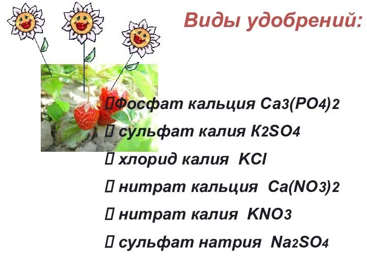 Виды удобрений: Фосфат кальция Са3(РО4)2 сульфат калия К2SO4 хлорид калия KCl