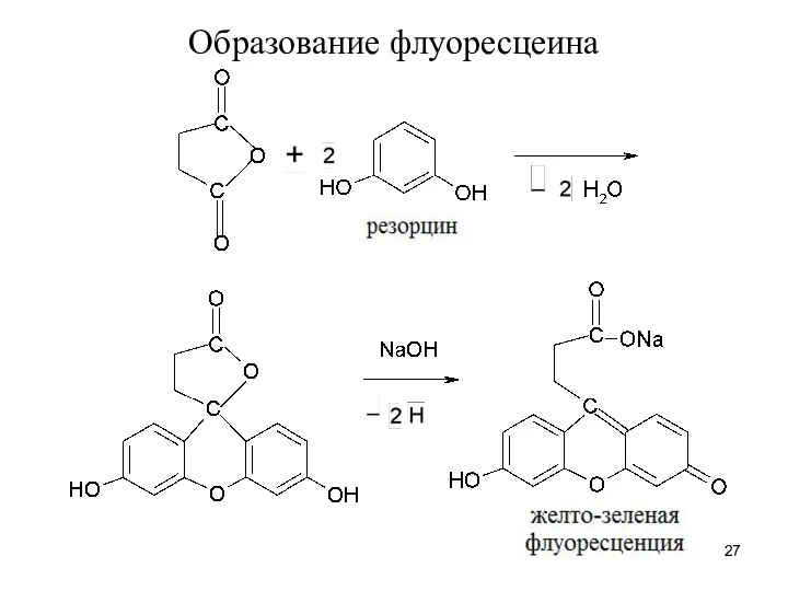 Образование флуоресцеина