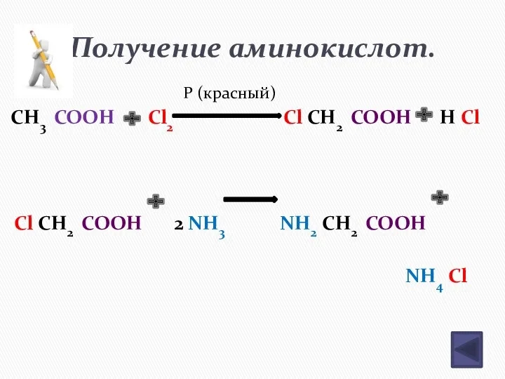 Получение аминокислот. P (красный) СН3 СООН Сl2 Сl СН2 СООН Н