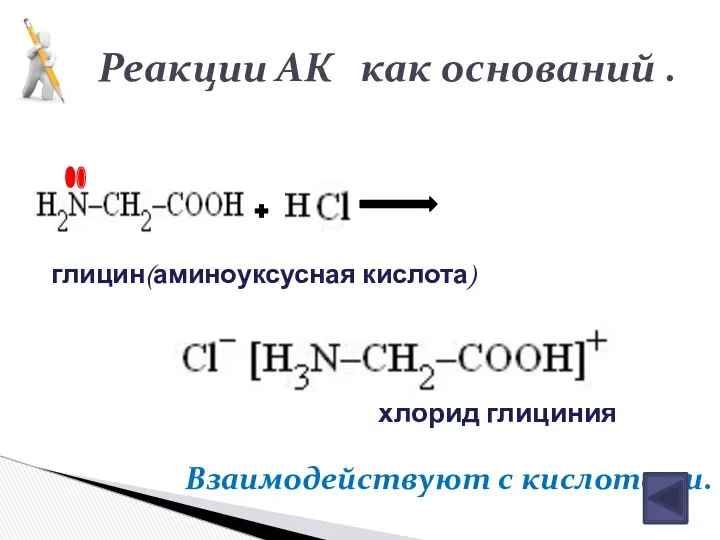 глицин(аминоуксусная кислота) хлорид глициния Реакции АК как оснований . Взаимодействуют с кислотами.