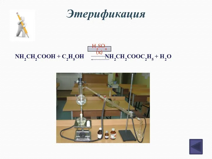 Этерификация NH2CH2COOH + C2H5OH NH2CH2COOC2H5 + H2O H2SO4 (к)