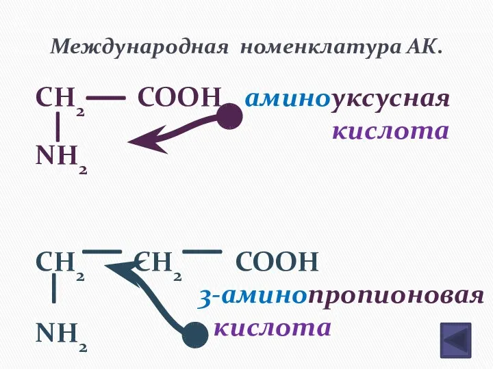 Международная номенклатура АК. CH2 COOH NH2 CH2 CH2 COOH NH2 аминоуксусная кислота 3-аминопропионовая кислота