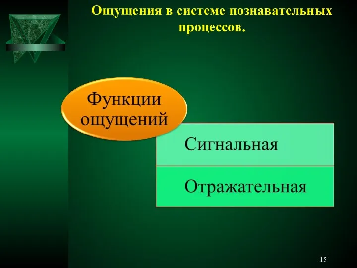 Ощущения в системе познавательных процессов.