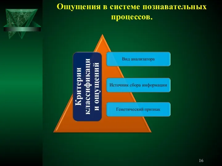 Ощущения в системе познавательных процессов.