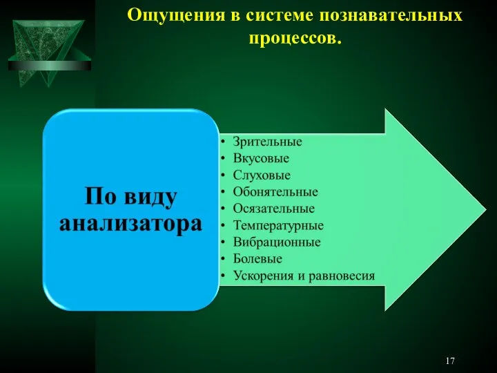 Ощущения в системе познавательных процессов.