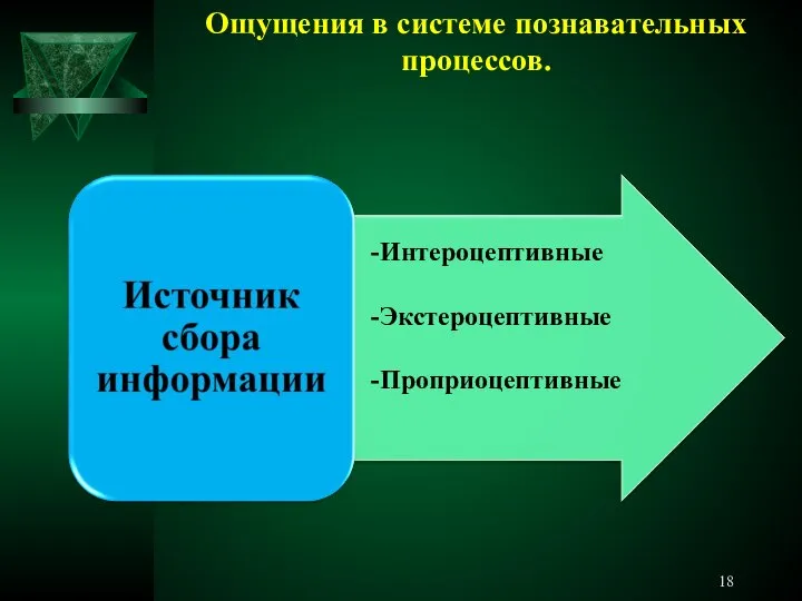 Ощущения в системе познавательных процессов. -Интероцептивные -Экстероцептивные -Проприоцептивные