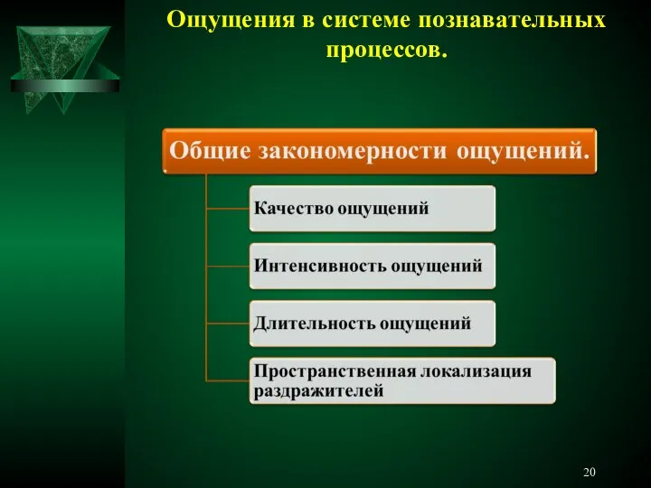 Ощущения в системе познавательных процессов.