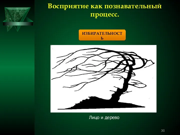 Восприятие как познавательный процесс. ИЗБИРАТЕЛЬНОСТЬ Лицо и дерево