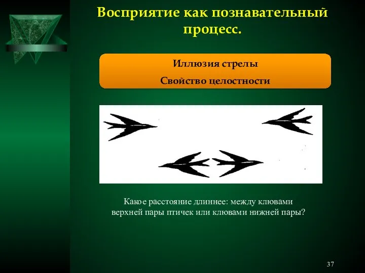 Восприятие как познавательный процесс. Иллюзия стрелы Свойство целостности Какое расстояние длиннее: