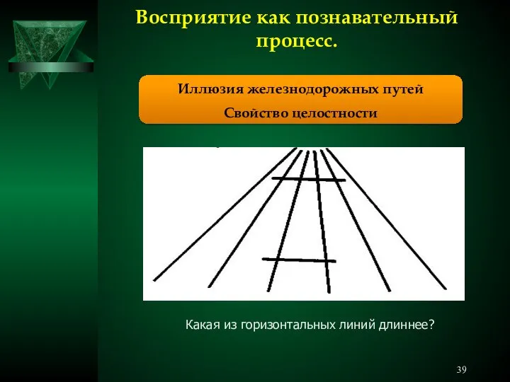 Восприятие как познавательный процесс. Иллюзия железнодорожных путей Свойство целостности Какая из горизонтальных линий длиннее?