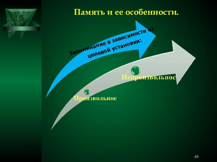 Память и ее особенности. Запоминание в зависимости от целевой установки: