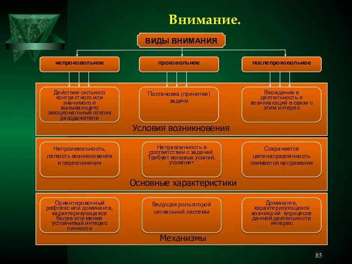 Внимание. Механизмы Основные характеристики Условия возникновения