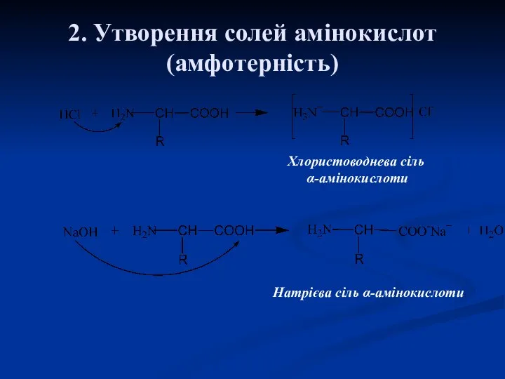 2. Утворення солей амінокислот (амфотерність) Хлористоводнева сіль α-амінокислоти Натрієва сіль α-амінокислоти