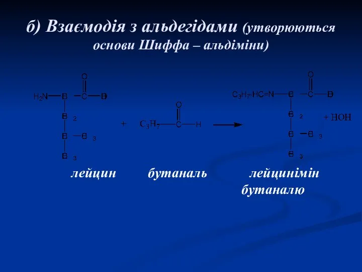 б) Взаємодія з альдегідами (утворюються основи Шиффа – альдіміни) лейцин бутаналь лейцинімін бутаналю