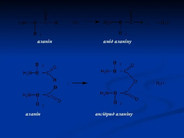 аланін амід аланіну аланін ангідрид аланіну