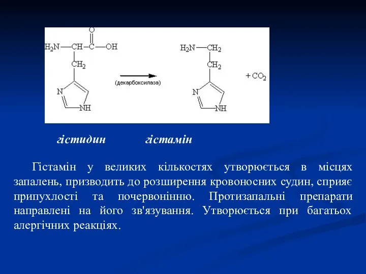 гістидин гістамін Гістамін у великих кількостях утворюється в місцях запалень, призводить