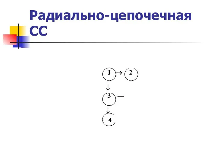 Радиально-цепочечная СС 4