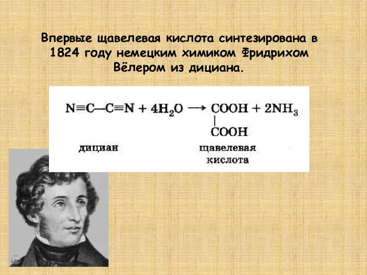 Впервые щавелевая кислота синтезирована в 1824 году немецким химиком Фридрихом Вёлером из дициана.