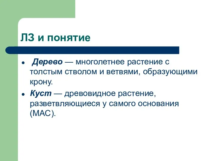 ЛЗ и понятие Дерево — многолетнее растение с толстым стволом и