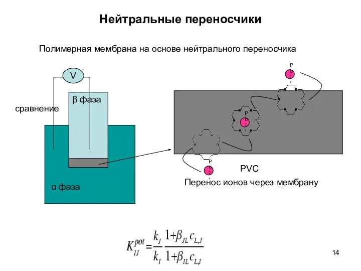 Нейтральные переносчики