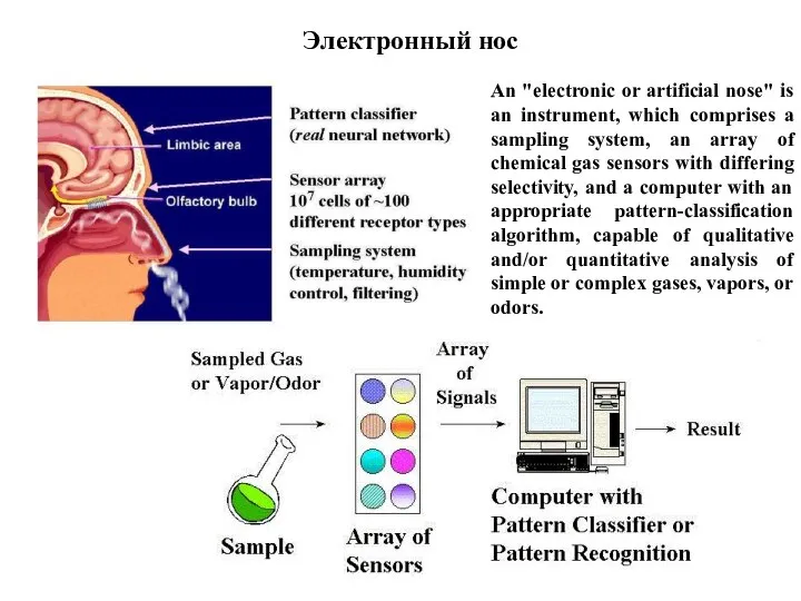 Электронный нос An "electronic or artificial nose" is an instrument, which