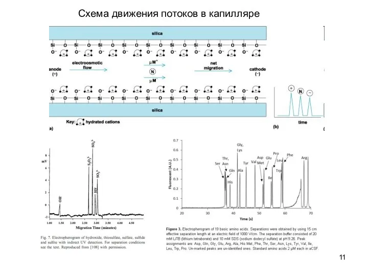 Схема движения потоков в капилляре