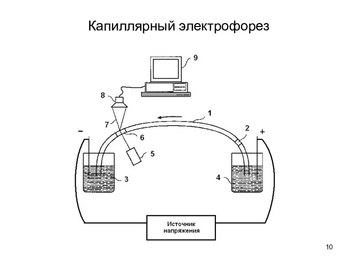 Капиллярный электрофорез