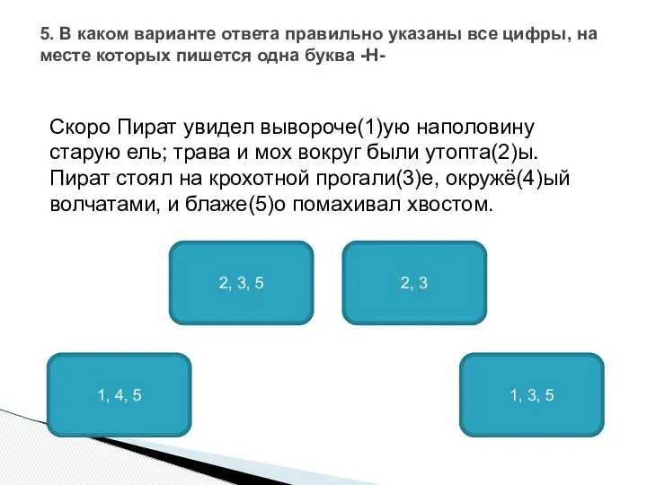 Скоро Пират увидел вывороче(1)ую наполовину старую ель; трава и мох вокруг