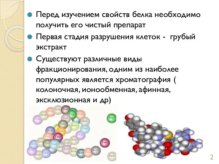 Перед изучением свойств белка необходимо получить его чистый препарат Первая стадия