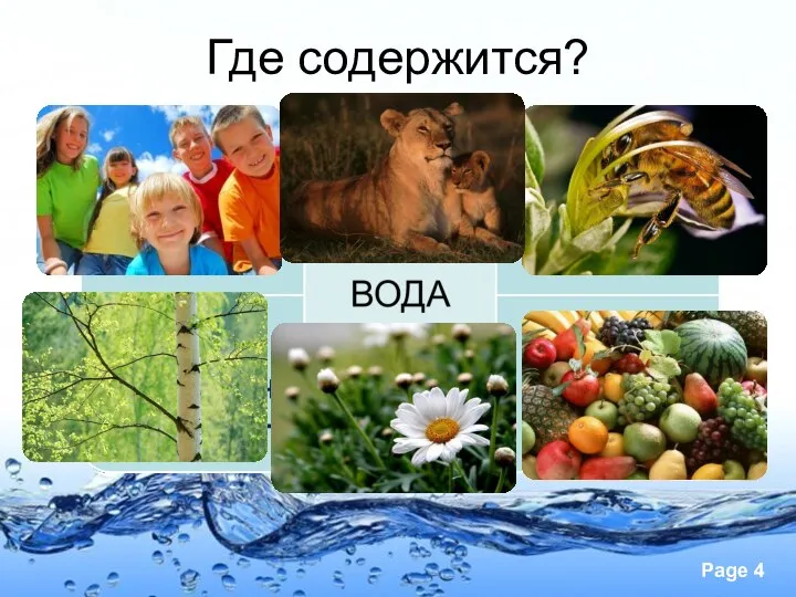 Где содержится?