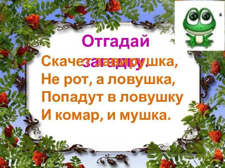 Отгадай загадку. Скачет завирушка, Не рот, а ловушка, Попадут в ловушку И комар, и мушка.